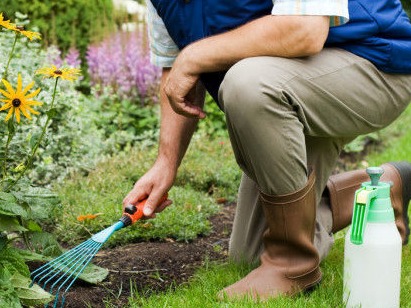 Manutenção e jardinagem